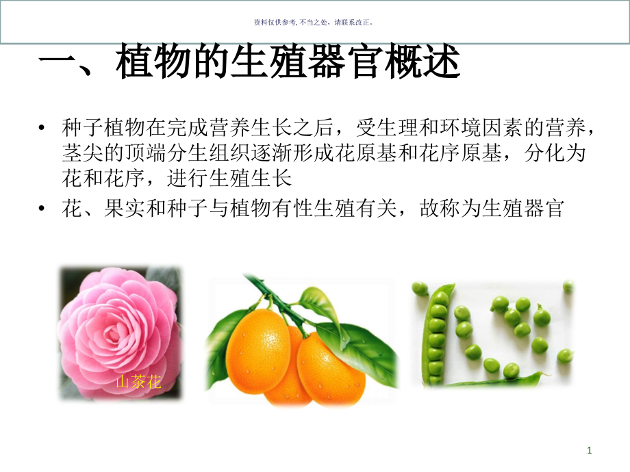 植物生殖器官的识别.ppt_第1页