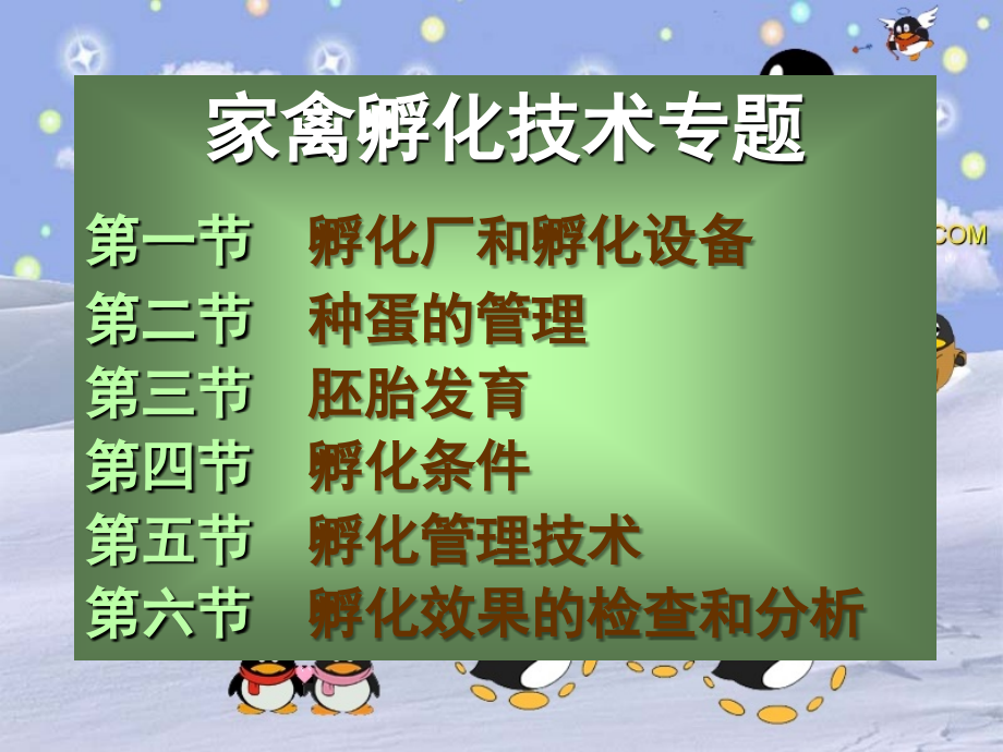 孵化-实习用.ppt_第1页