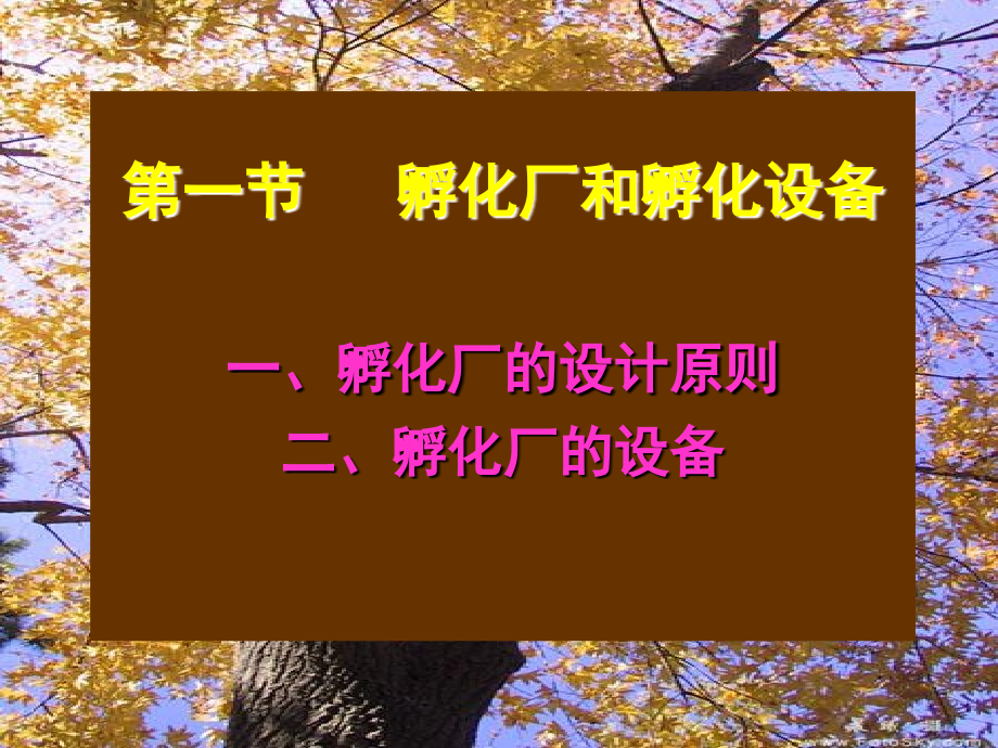 孵化-实习用.ppt_第2页