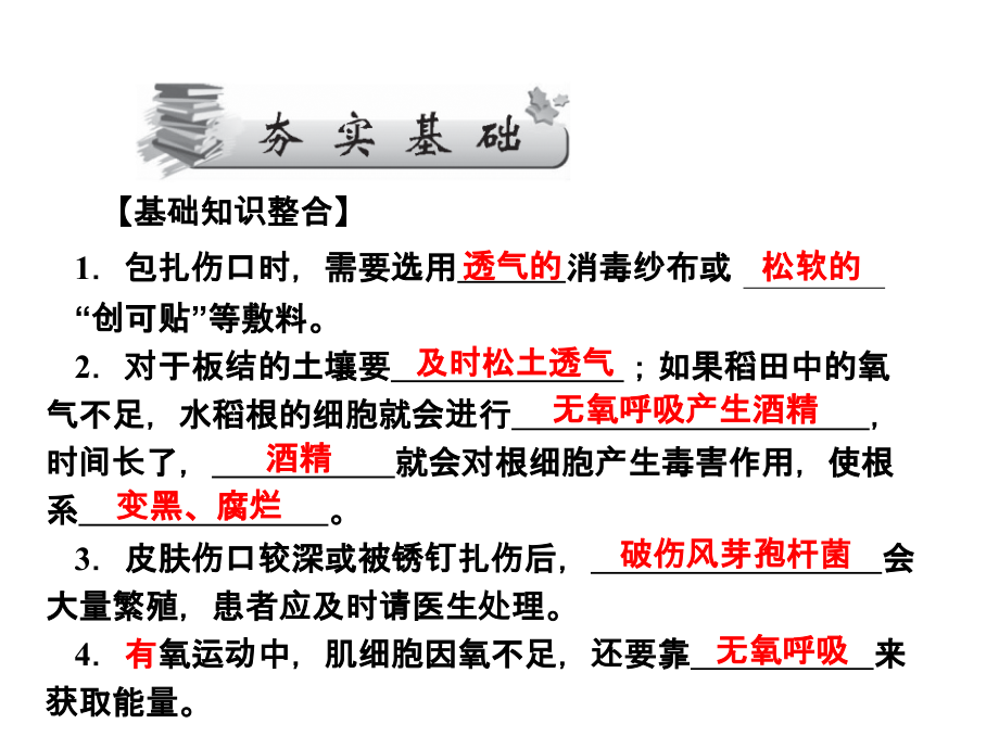 高考生物第一轮复习课件必修1第5章ATP的主要来源——细胞呼吸.ppt_第1页
