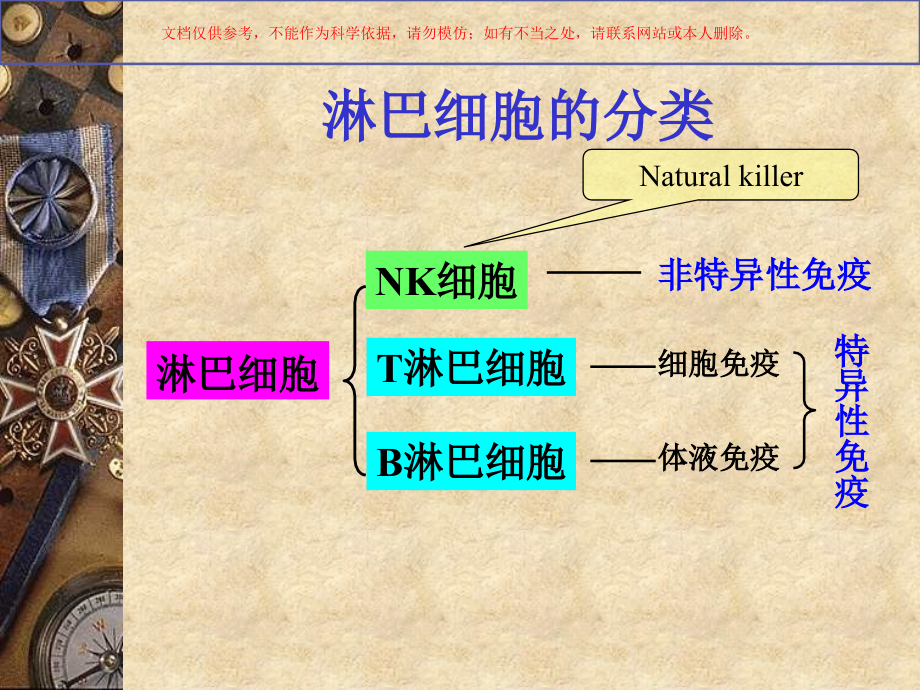 免疫细胞免疫应答培训课件.ppt_第2页