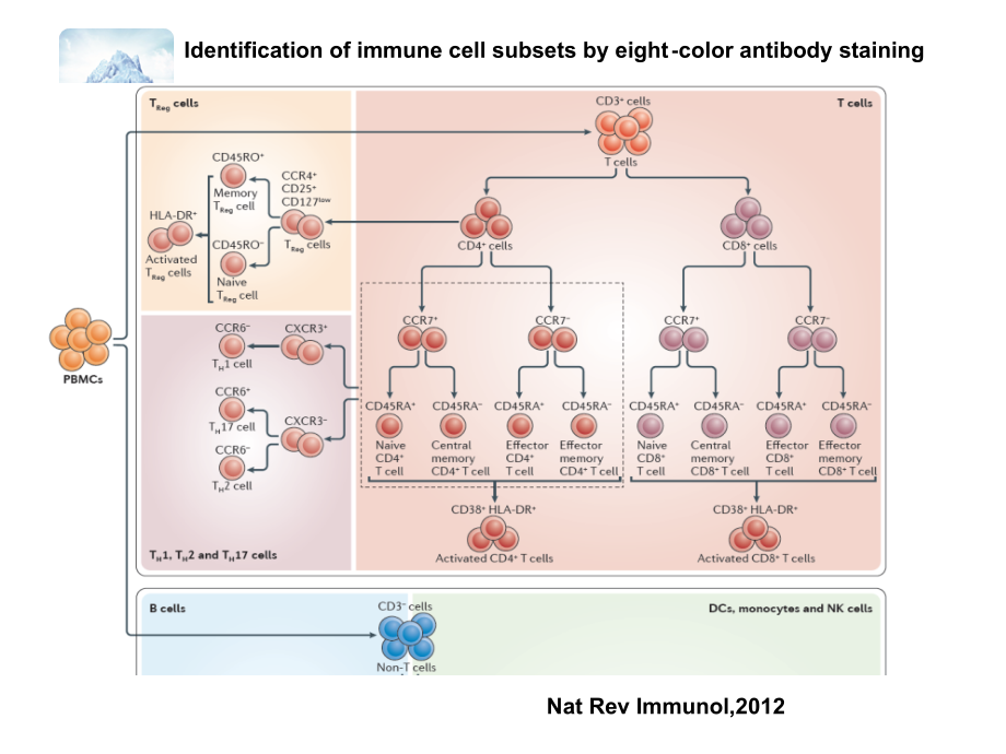 BD多色流式全面解决方案-医学课件.ppt_第1页