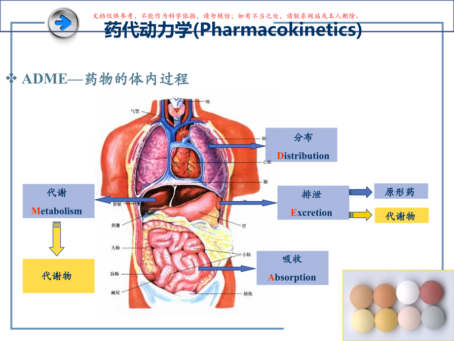 药物代谢动力学宣教课件.ppt_第2页