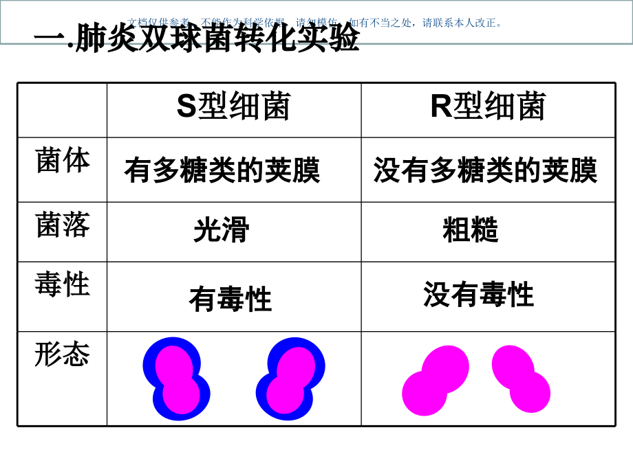 DNA是遗传物质的实验证据课件.ppt_第2页