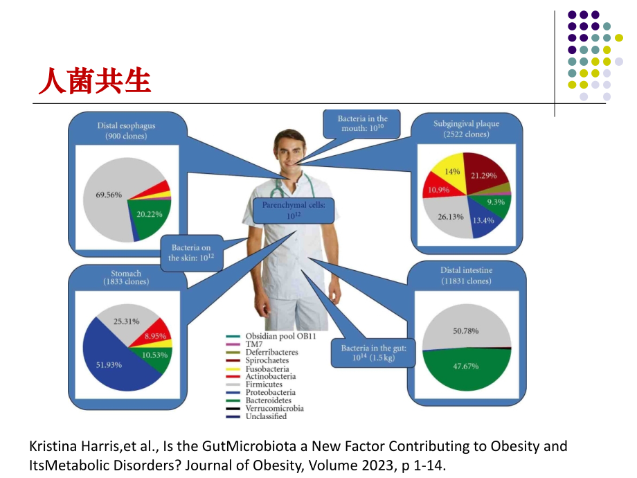 医学肠道菌群和人体代谢疾病专题课件.pptx_第2页