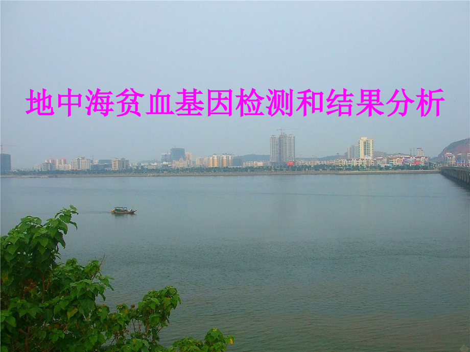 医学地中海贫血基因检测和结果分析专题课件.ppt_第1页