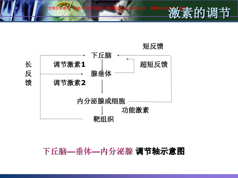 甲状腺相关激素的临床意义培训课件.ppt_第2页