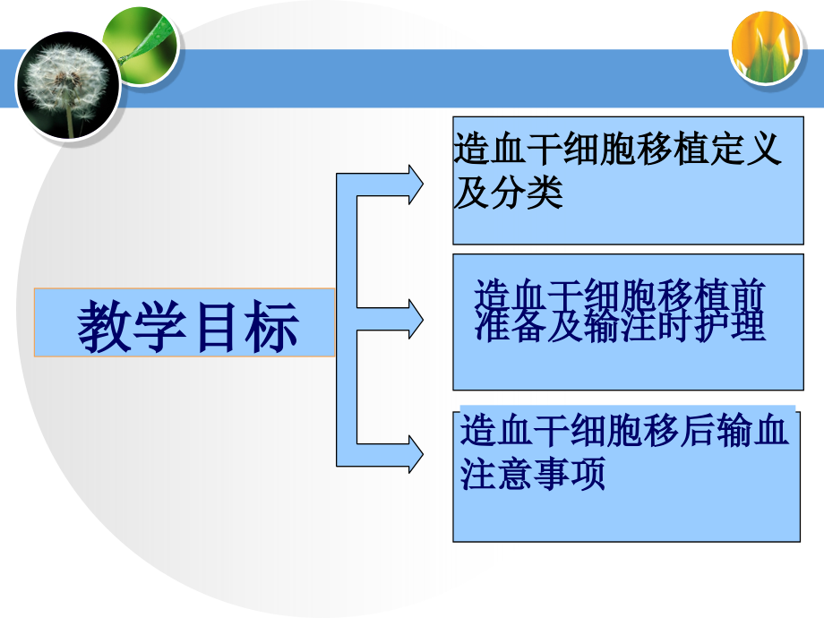 骨髓移植.ppt_第2页