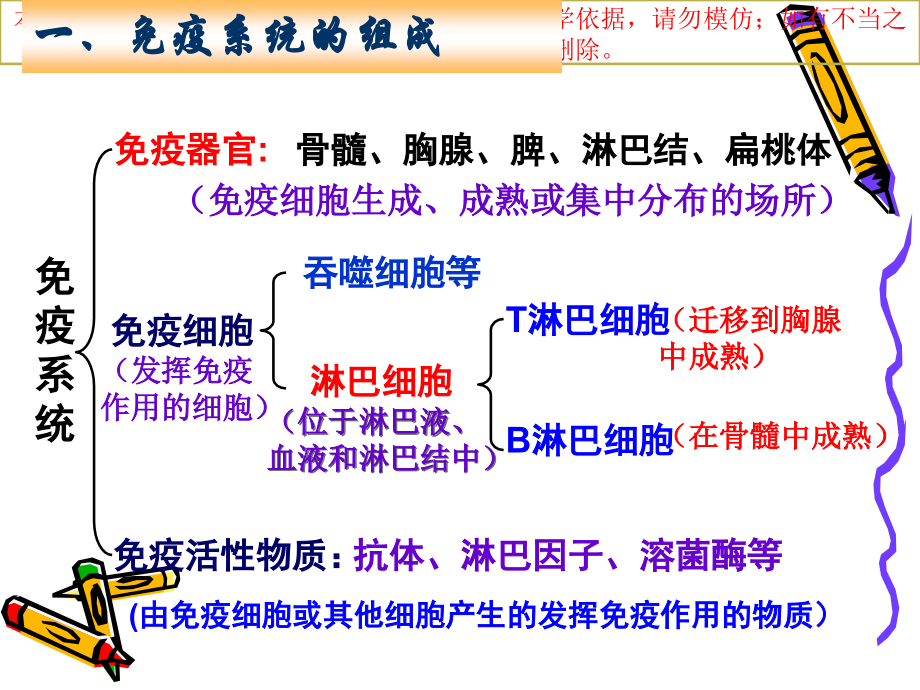免疫调节医疗培训课件.ppt_第1页
