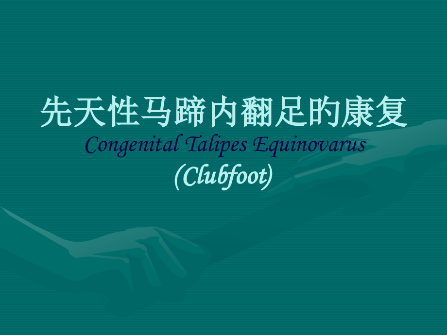 先天性马蹄内翻足的康复.pptx_第1页