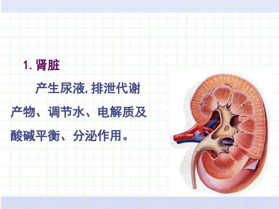 项目八排泄医疗护理.ppt_第2页