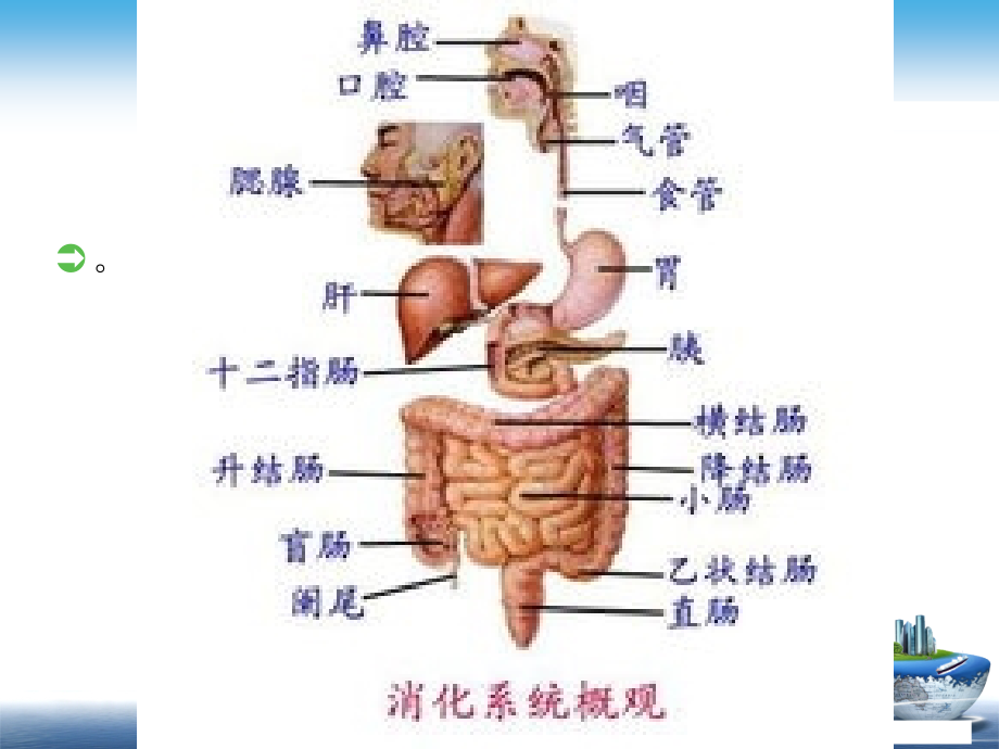 医学胃肠镜检查前后的医疗护理课件.ppt_第2页