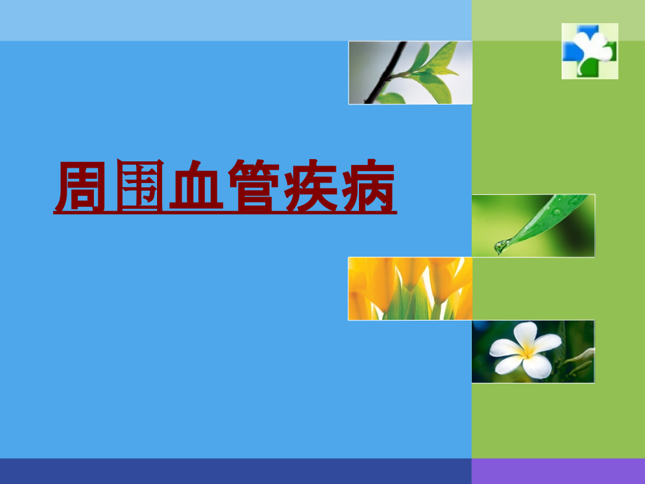 医学周围血管疾病专题课件.ppt_第1页