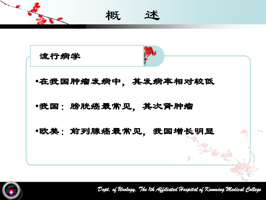 肾肿瘤专题知识讲座培训课件.ppt_第2页