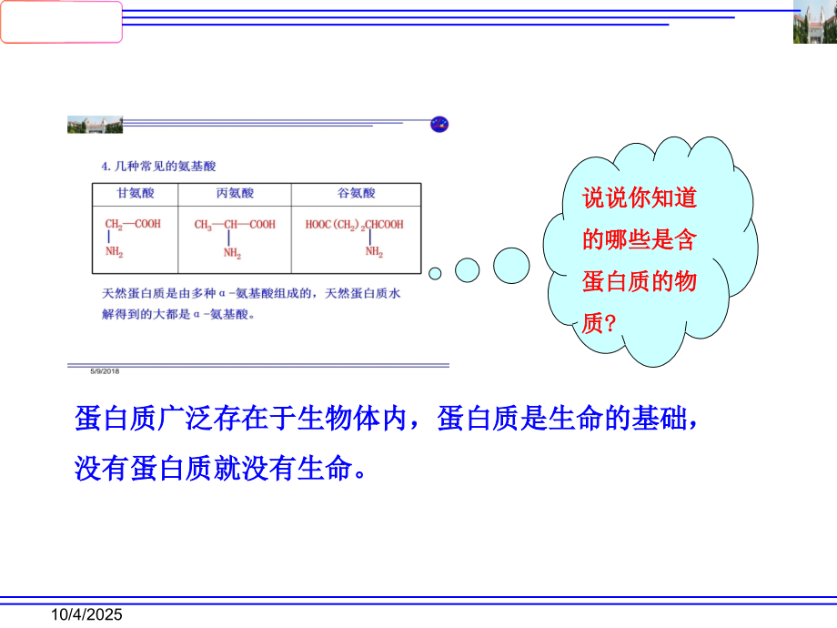 高中化学选修五第四章第三节蛋白质和核酸.ppt_第2页