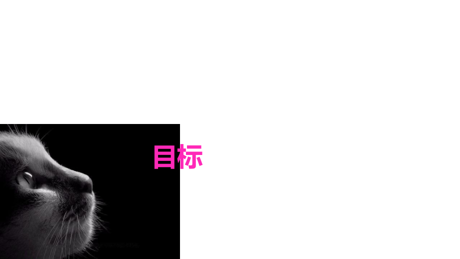 猫人营销传播方案专题培训课件.ppt_第2页