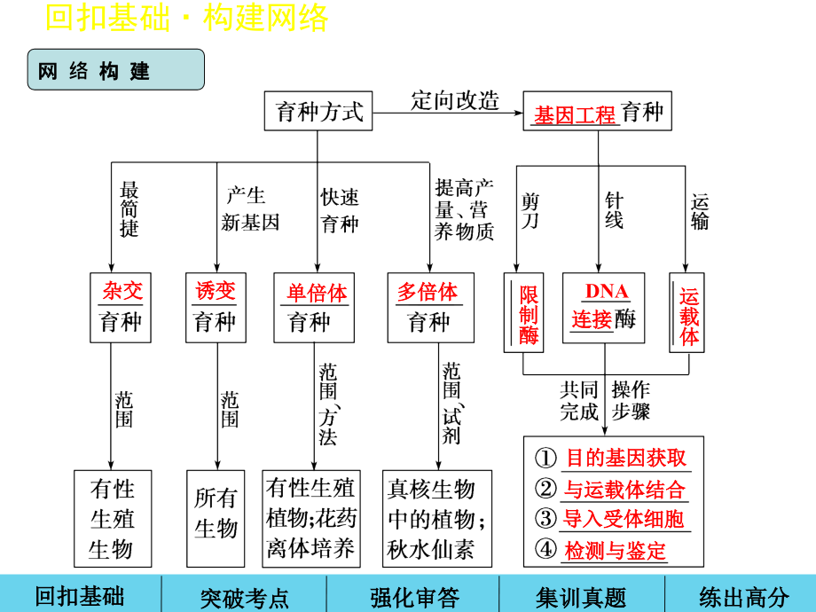高中生物一轮复习从杂交育种到基因工程MicrosoftPowerPoint演示文稿.ppt_第2页