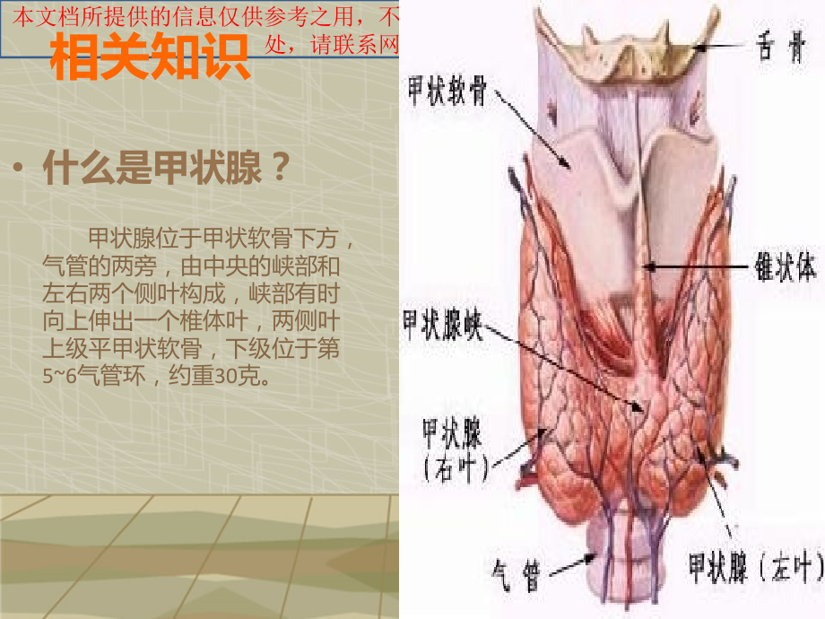 结节性甲状腺肿护理查房培训课件.ppt_第2页