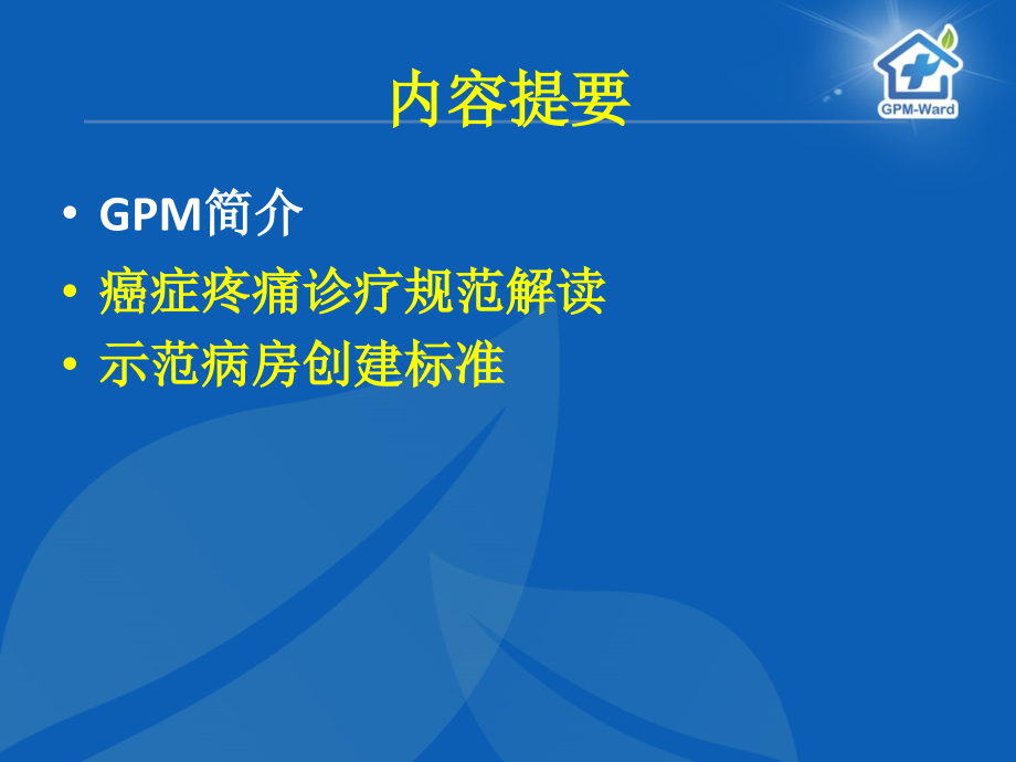 医学癌痛规范化治疗示范病房创建标准和癌症疼痛诊疗规范解读PPT培训课件.ppt_第2页