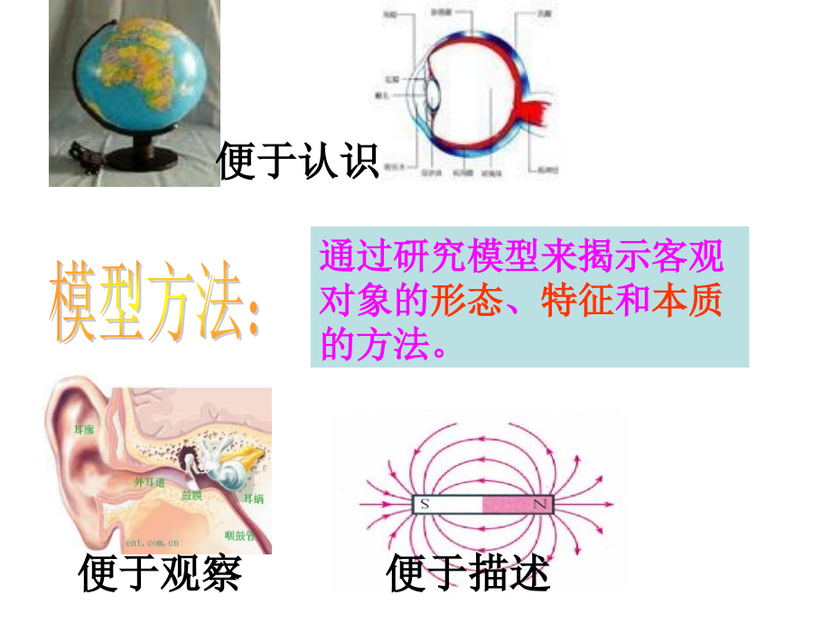 微粒的模型和符号复习专题培训课件.ppt_第2页