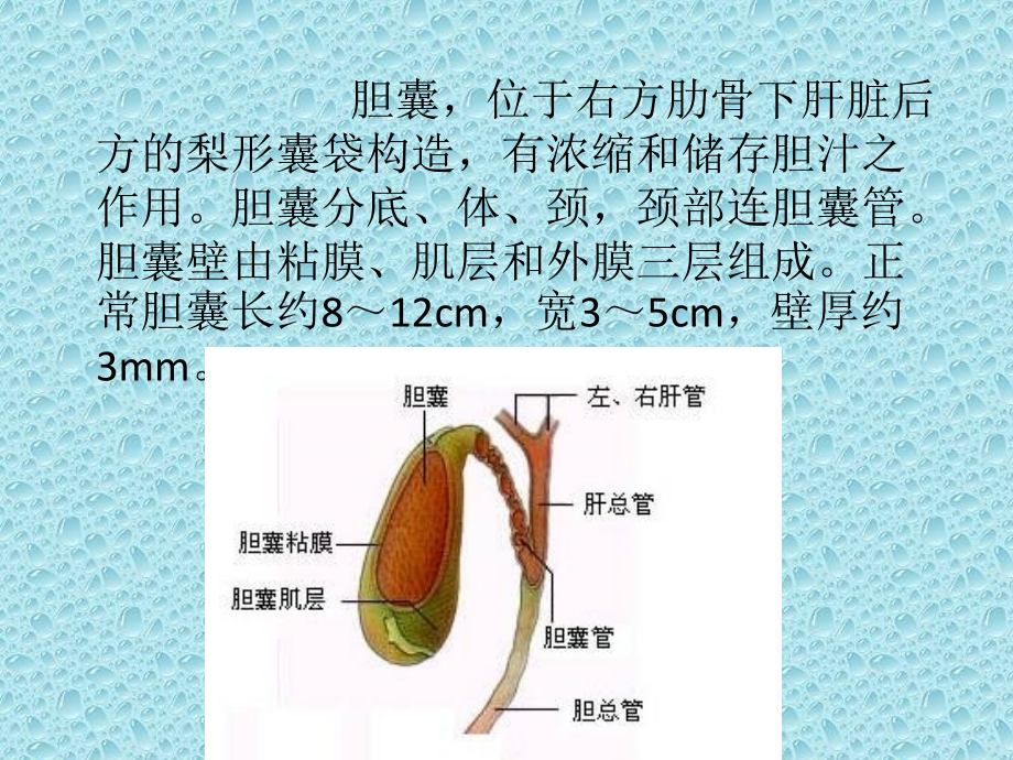 医学胆囊壁增厚影像诊断课件.pptx_第2页