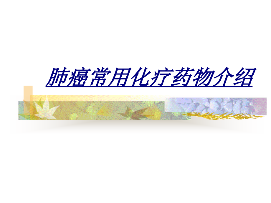 医学肺癌常用化疗药物介绍.ppt_第1页