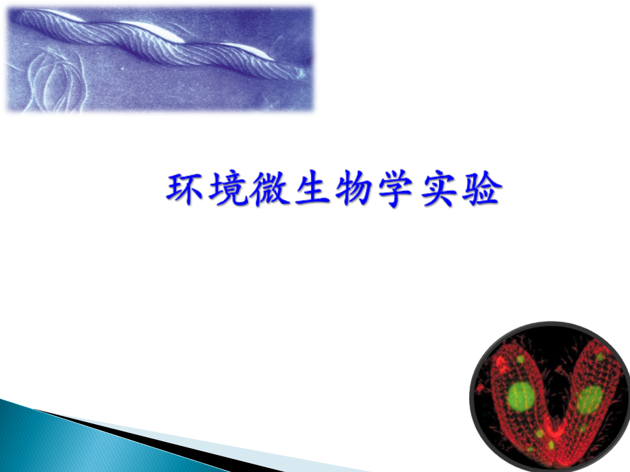 实验一--微生物培养基的制备和高压.ppt_第1页