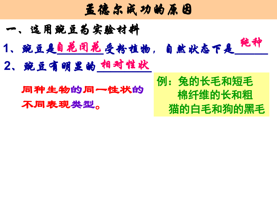 高三生物复习：遗传的基本规律.ppt_第1页