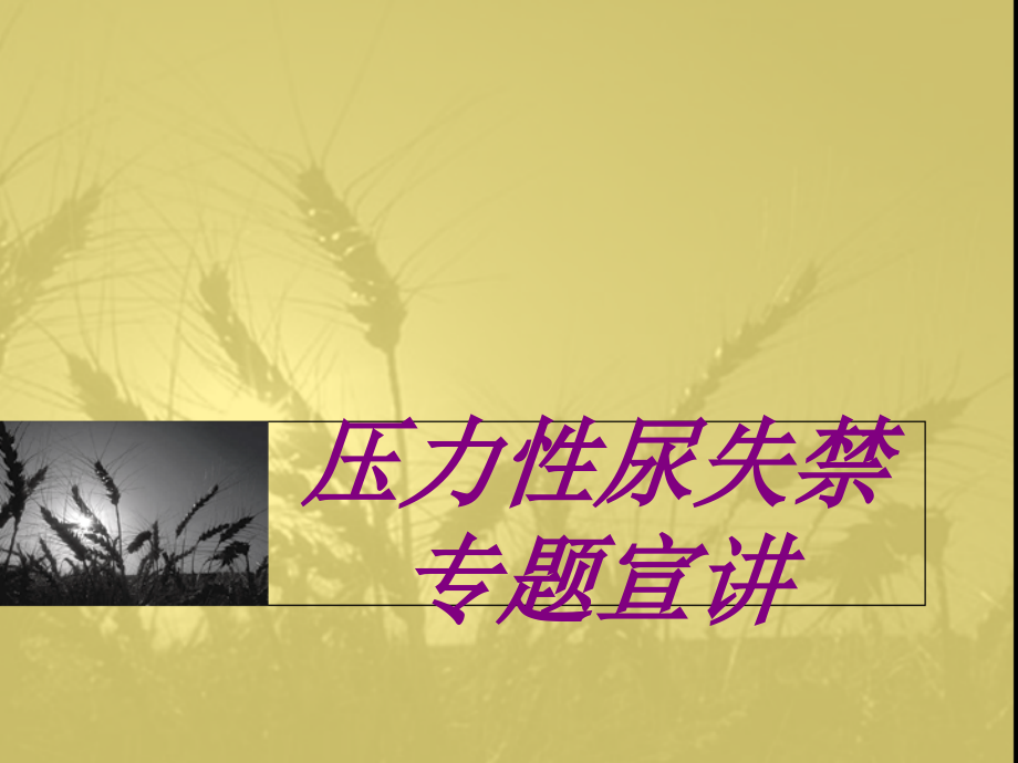 压力性尿失禁专题宣讲PPT培训课件.ppt_第1页