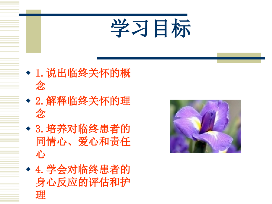 临终关怀和医疗护理PPT优质课件.ppt_第2页