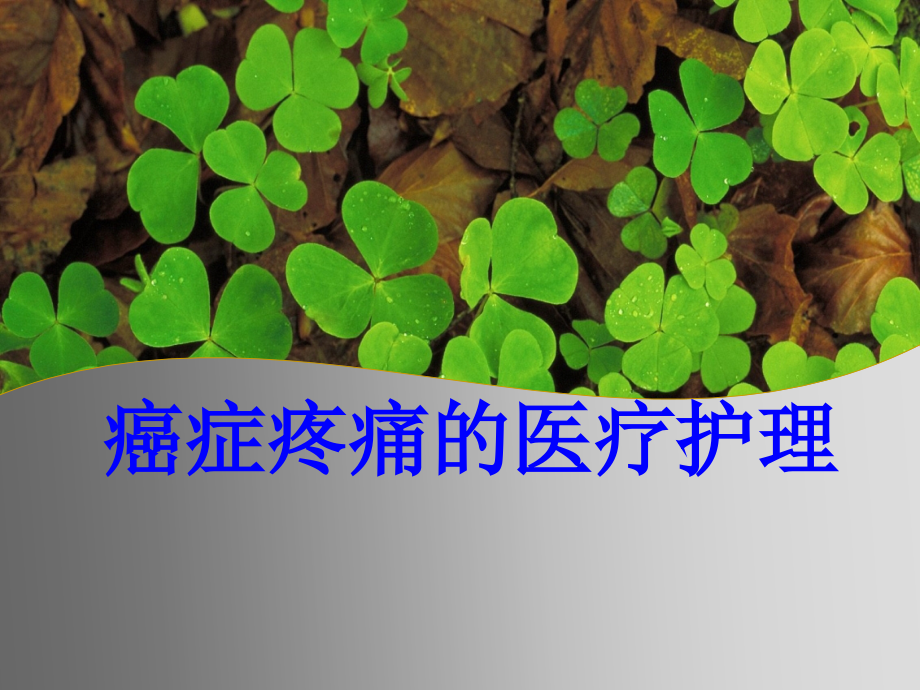 癌症疼痛的医疗护理PPT培训课件.ppt_第1页