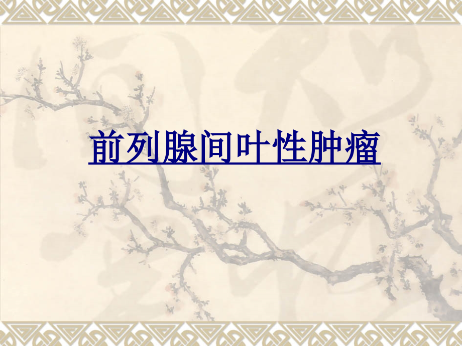 前列腺间叶性肿瘤PPT优质课件.ppt_第1页