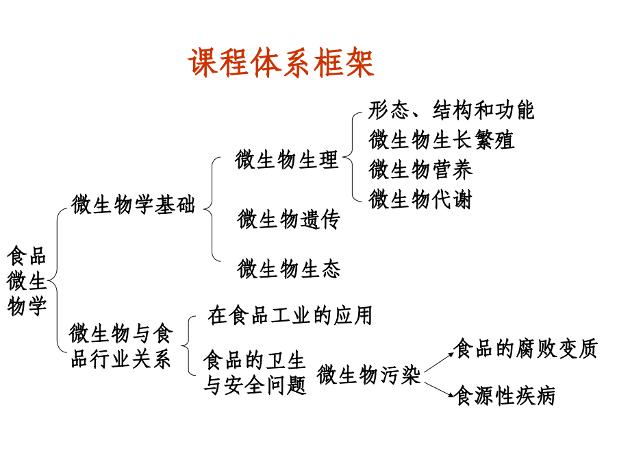 食品微生物课程总结.ppt_第2页