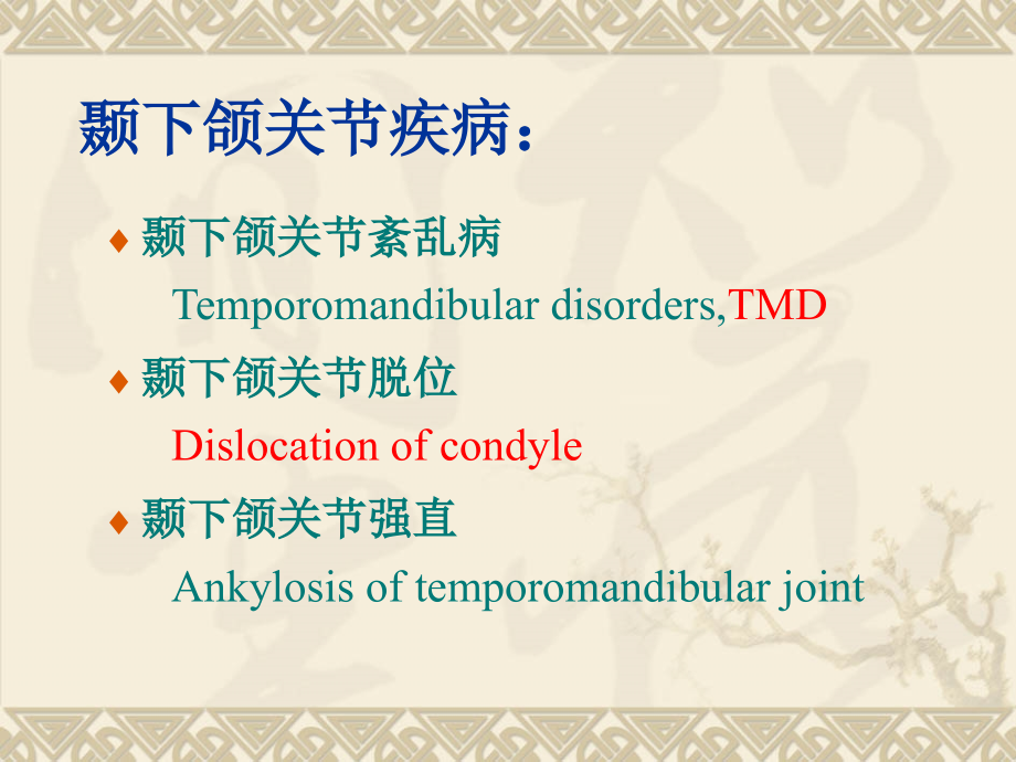 颞下颌关节疾病.ppt_第2页