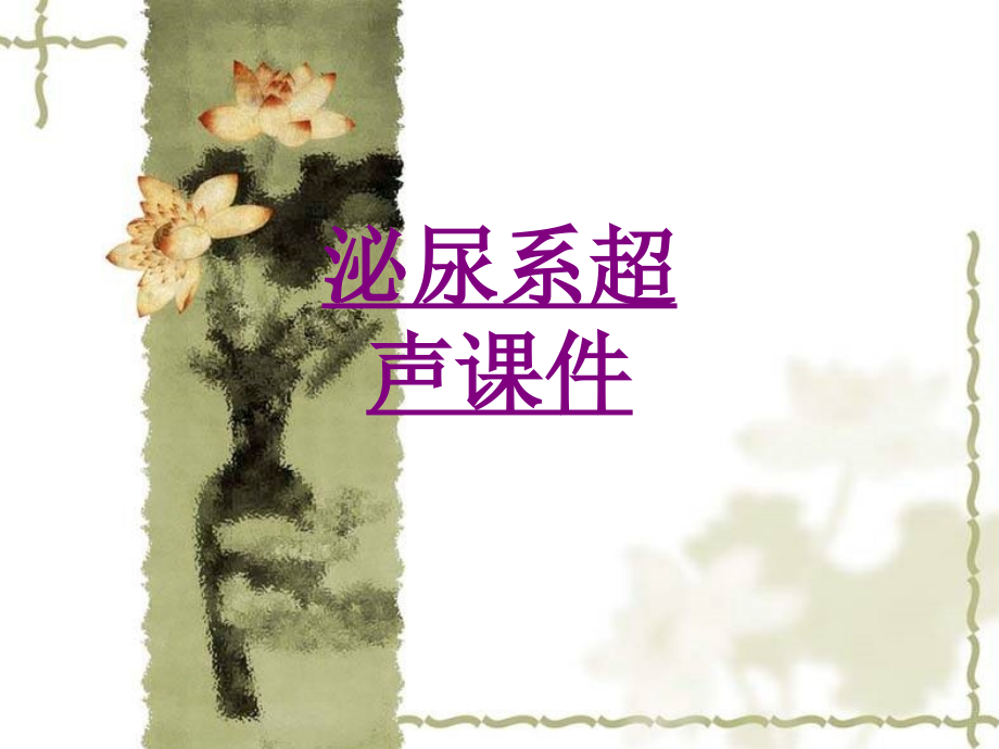 医学泌尿系超声专题课件.ppt_第1页