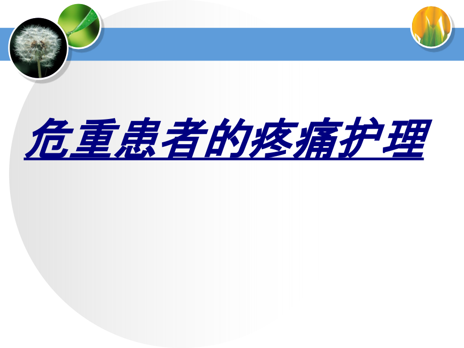 危重患者的疼痛护理讲义.ppt_第1页