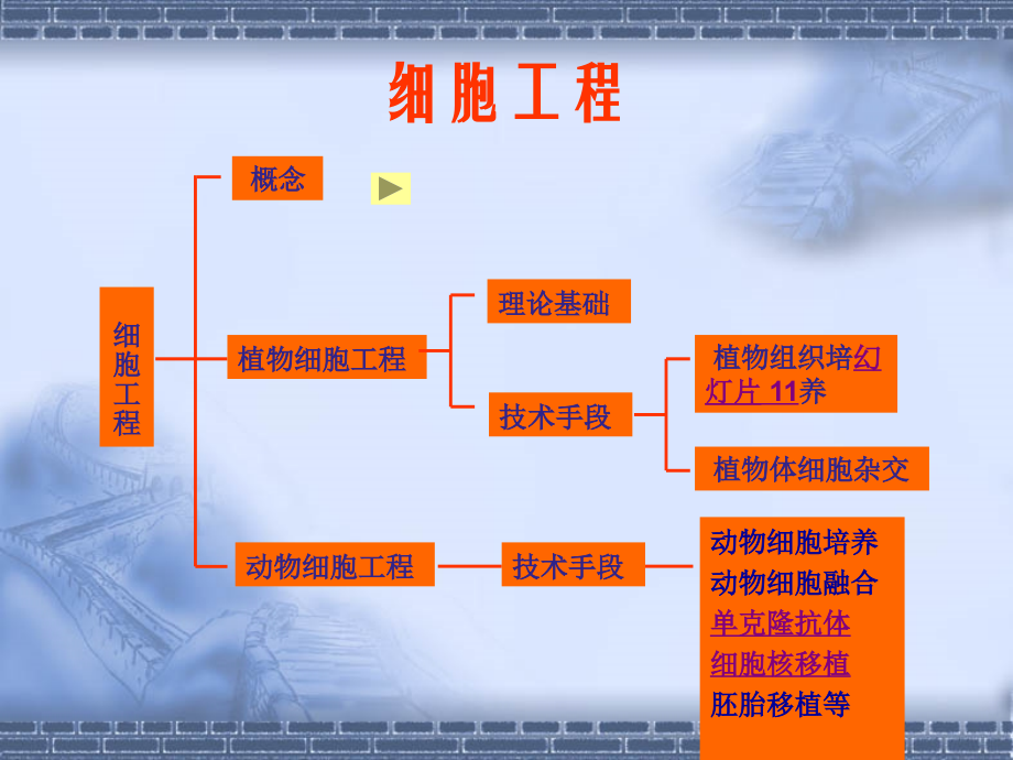 高三生物细胞工程简介.ppt_第2页