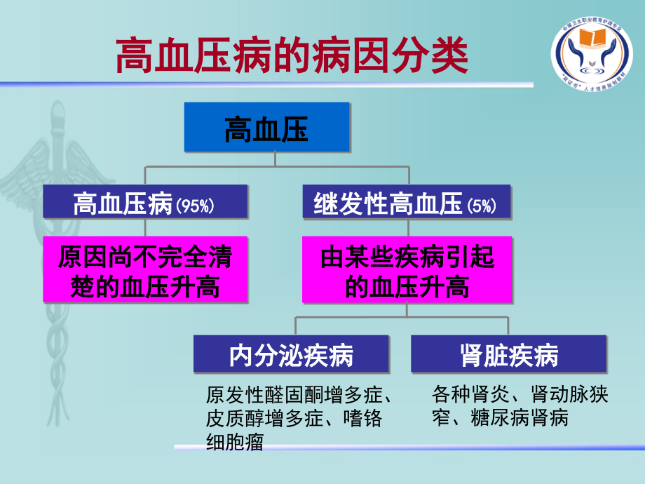 心血管系统高血压.ppt_第2页