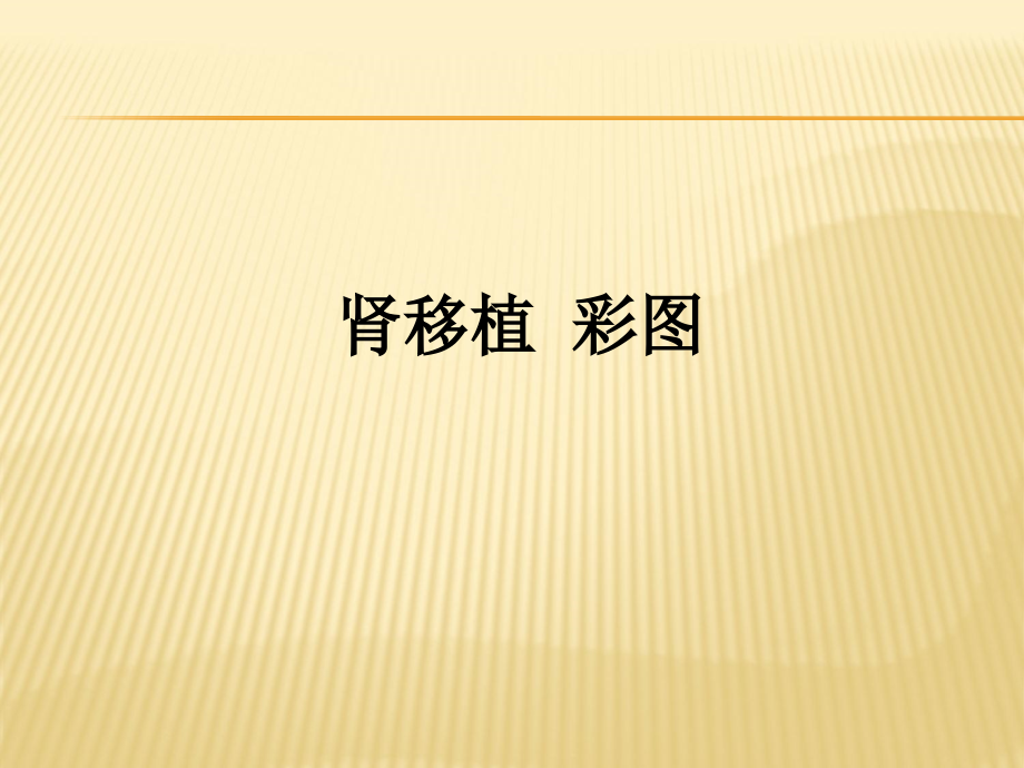 肾移植彩图.ppt_第1页