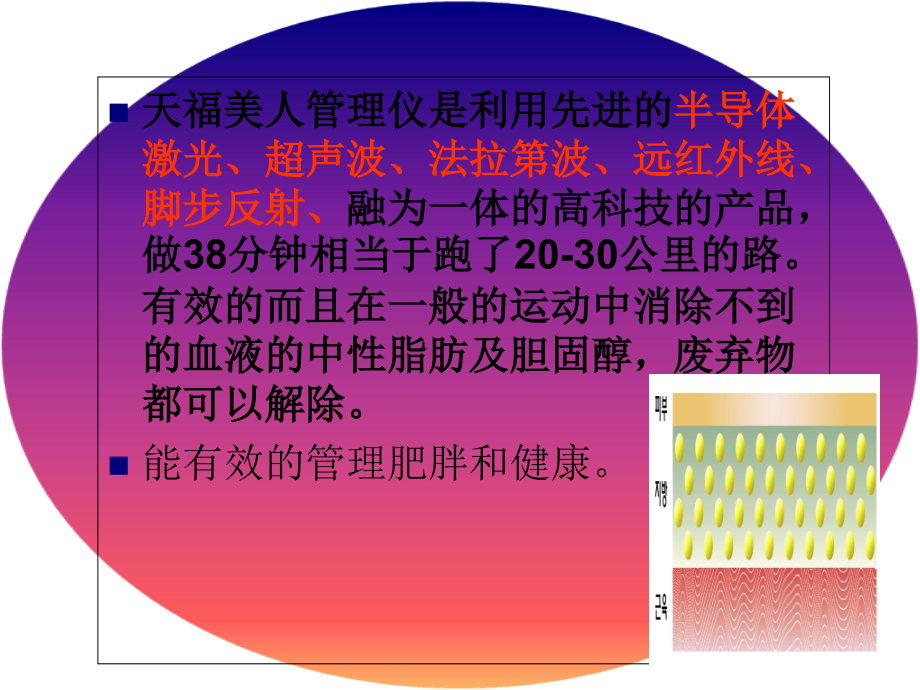 天福美人原理.ppt_第2页