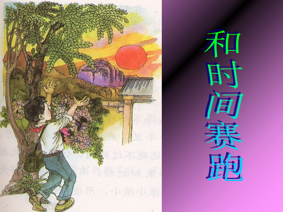 语文六年级上长春版3.1《和时间赛跑》课件1.ppt_第2页
