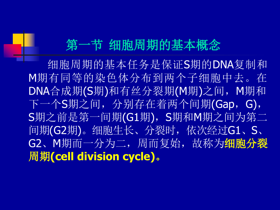 血液分子生物学细胞周期的调控.ppt_第2页