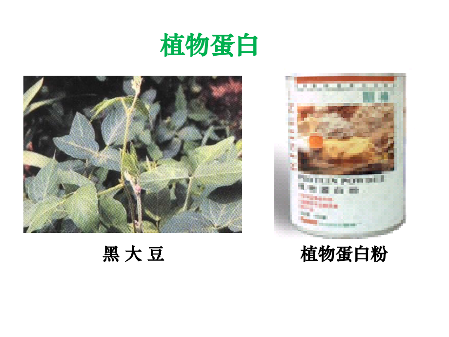 选修五有机化学蛋白质与核酸.ppt_第2页