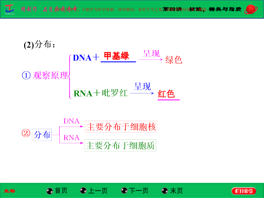 核酸糖类和脂质课件.ppt_第2页