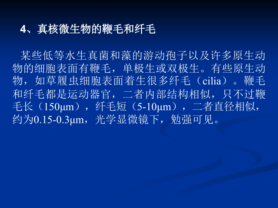 微生物生理.ppt_第2页