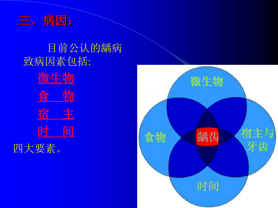 第四章牙体牙髓病.ppt_第2页