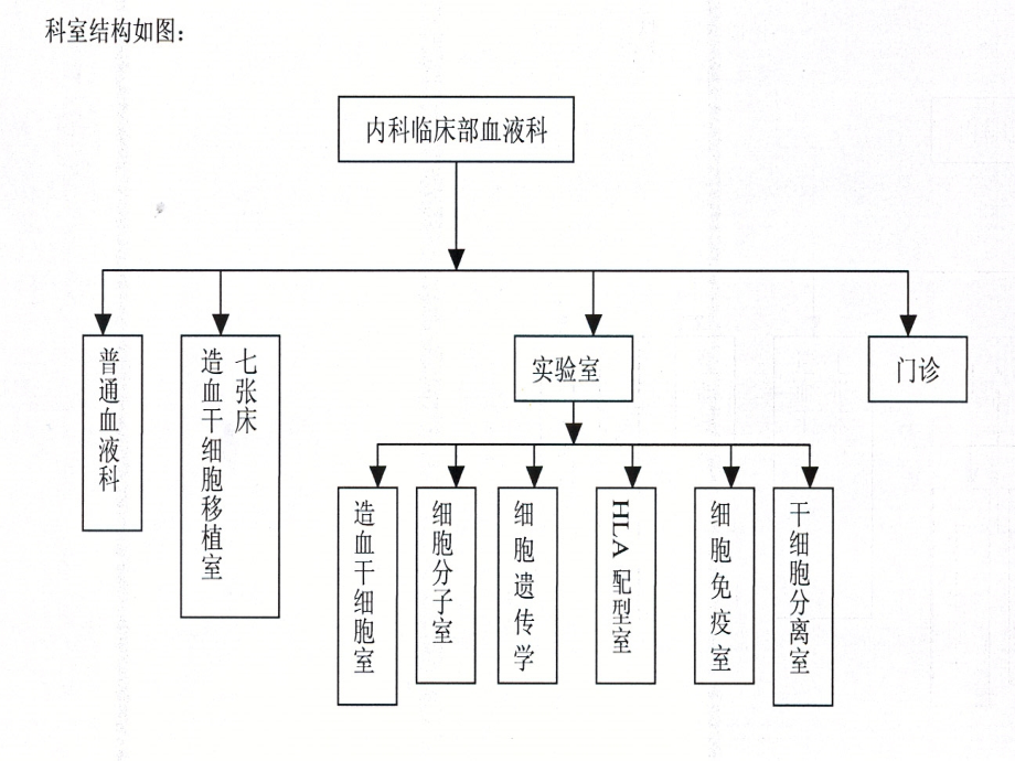 血液病常识.ppt_第1页