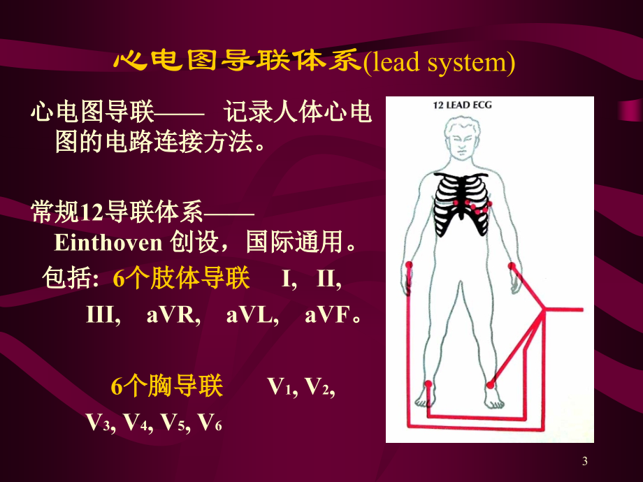 心电图心电向量与心肌缺血.ppt_第2页