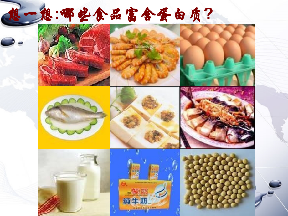 高一生物蛋白质的结构与功能.ppt_第1页