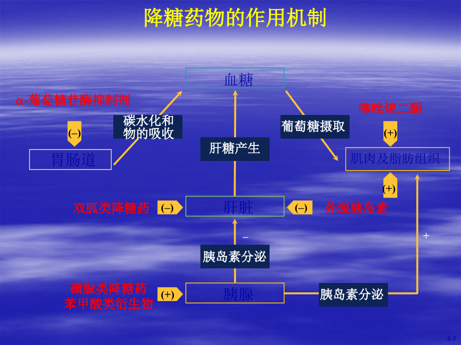 糖尿病口服药.ppt_第1页